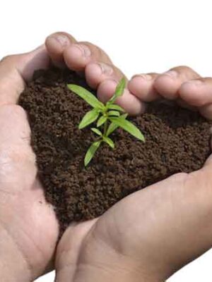 homepage tutti-i-prodotti-per-la-cura-delle-piante-su-naturando-il-vivaio-per-il-tuo-giardino