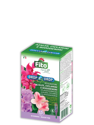 Goccia a Goccia Azalee e Rododendri Goccia a Goccia Piante Fiorite su Naturando dal 1997 il vivaio per la cura delle piante e dei giardini