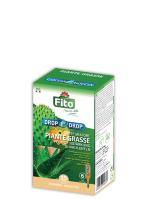 Goccia a Goccia Piante Grasse su Naturando dal 1997 il vivaio per la cura delle piante e dei giardini