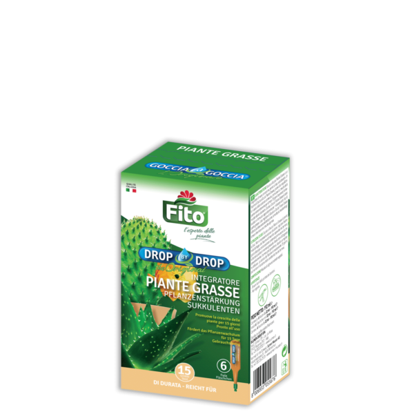 Goccia a Goccia Piante Grasse su Naturando dal 1997 il vivaio per la cura delle piante e dei giardini