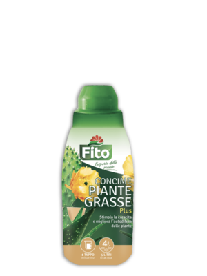 Piante Grasse su Naturando dal 1997 il vivaio per la cura delle piante e dei giardini