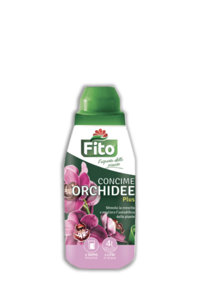 Orchidee su Naturando dal 1997 il vivaio per la cura delle piante e dei giardini