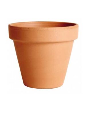 Vaso-Standard-in-ceramica-su-naturando