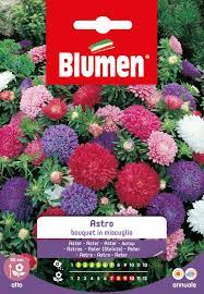 astro bourquet mix Per creare il tuo giardino vivace e colorato