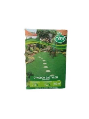 cynodon-dactylon Cynodon Dactylon 500g prodotti per il giardino, le piante e la loro cura