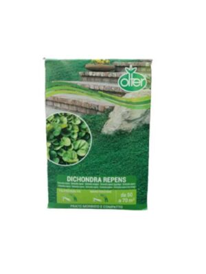 dichondra-repens-500g
