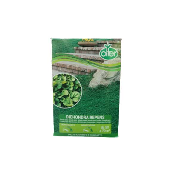 dichondra-repens-500g
