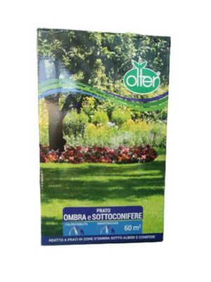 prato-ombra-sottocenere-1kg Prato Ombra Sottoconifere 1Kg prodotti per il prato, giardino e piante