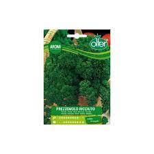 prezzemolo ricciuto2 per una produzione bio direttamente a casa tua