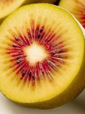 Kiwi-Exotic-Red su naturando il vivaio per il tuo giardino con una vasta gamma di prodotti per la cura delle piante