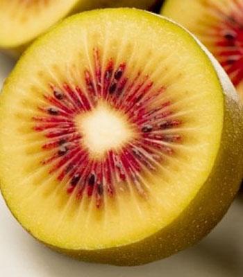 Kiwi-Exotic-Red su naturando il vivaio per il tuo giardino con una vasta gamma di prodotti per la cura delle piante