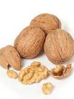 Noci-Chandler su naturando il vivaio per il tuo giardino con una vasta gamma di prodotti per la cura delle piante