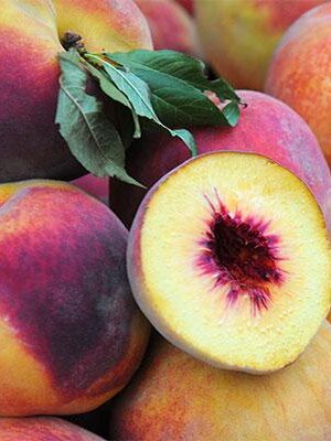 Pesca-Tardiva-di-San-Gregorio su naturando il vivaio per il tuo giardino con una vasta gamma di prodotti per la cura delle piante