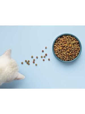 scopri i prodotti di cibo secco per gatti su naturando dal 1997