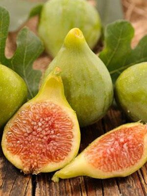 fico-paradiso su naturando il vivaio per il tuo giardino con una vasta gamma di prodotti per la cura delle piante