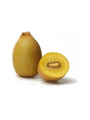 kiwi-jinfeng su naturando il vivaio per il tuo giardino con una vasta gamma di prodotti per la cura delle piante