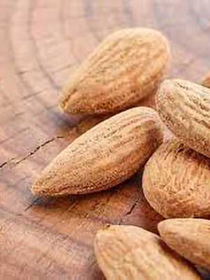 mandorle-tuono su naturando il vivaio per il tuo giardino con una vasta gamma di prodotti per la cura delle piante