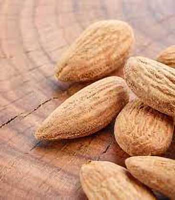 mandorle-tuono su naturando il vivaio per il tuo giardino con una vasta gamma di prodotti per la cura delle piante