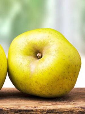 mela-renetta su naturando il vivaio per il tuo giardino con una vasta gamma di prodotti per la cura delle piante