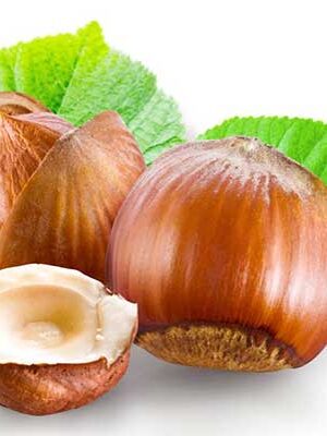 Nocciole Più Varieta, Tonde e Allungate su naturando il vivaio per il tuo giardino con una vasta gamma di prodotti per la cura delle piante