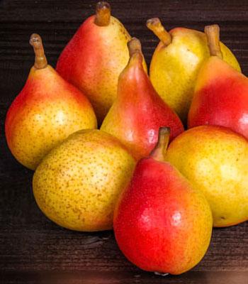 pera-angelica su naturando il vivaio per il tuo giardino con una vasta gamma di prodotti per la cura delle piante