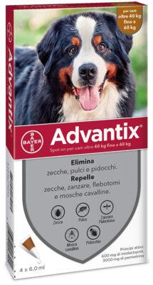 ADVANTIX CANI >40KG      CF4PZ -86110601