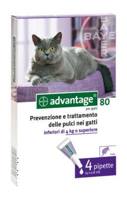 ADVANTAGE GATTI>4KG MG80 CF4PZ -85906348